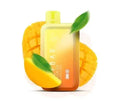 Elfbar Raya D1 – Double Mango - Vape Shop Pune VapeshopPune