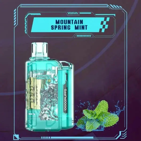 IGET FLARE B10000 – Mountain Spring Mint - Vape Shop Pune VapeshopPune