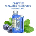 IGET FLARE B10000 – Blueberry Mint - Vape Shop Pune VapeshopPune